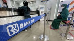 BRI Kantongi Rp55 Triliun Dana Pemerintah, Fokus Salurkan Kredit ke UMKM