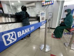 BRI Kantongi Rp55 Triliun Dana Pemerintah, Fokus Salurkan Kredit ke UMKM